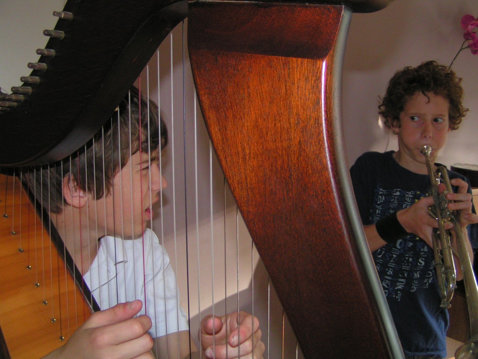 Un élève découvre la harpe